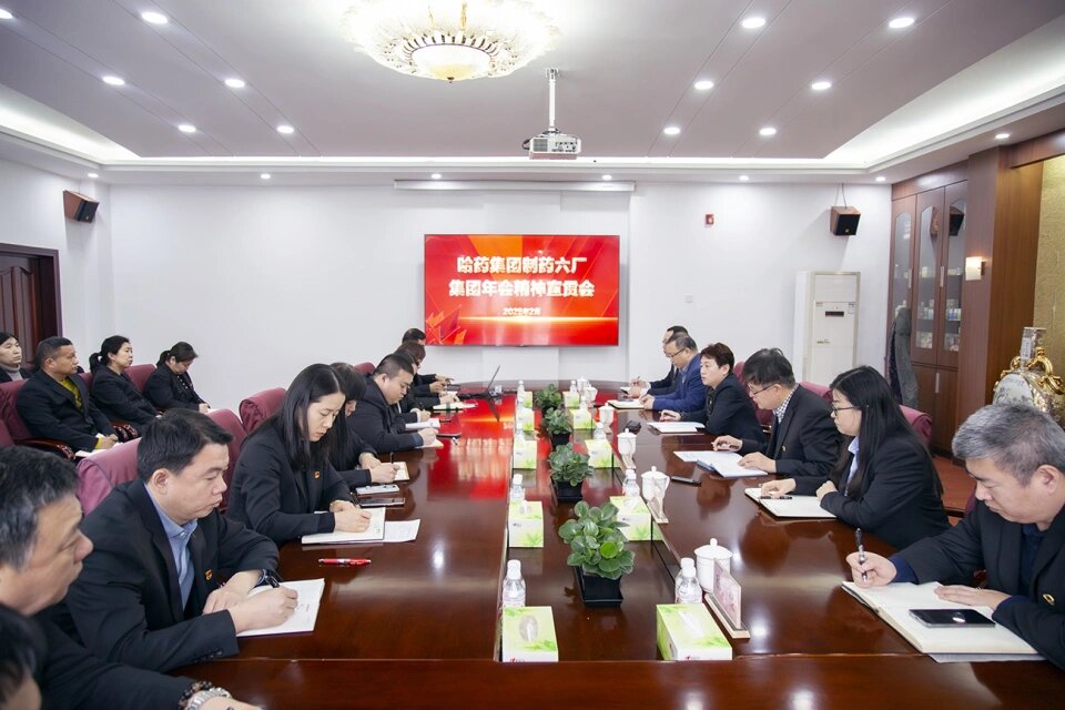 蓄势聚力筹远略 锐意进取启新篇——哈药六厂深入学习贯彻集团年会精神